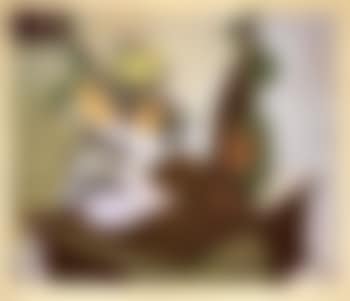 Nature morte au citron et aux oranges (preview)