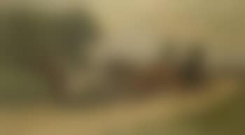 Carriage and four on a country road (preview)