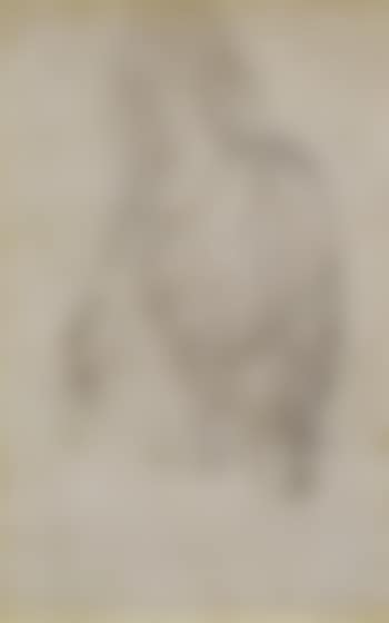 Study of a draped female figure (preview)