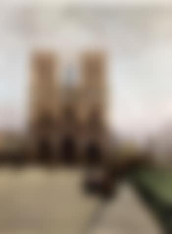 Flower seller at Notre Dame, Paris (preview)