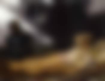 Odalisque allongee et sa servante (preview)