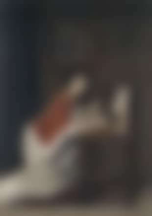 Le petit caniche (preview)
