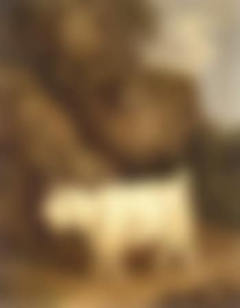 Two billies (preview)