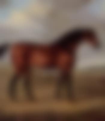 Chestnut hunter (preview)