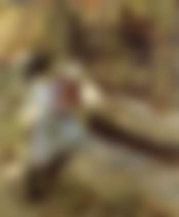 From a Ligurian spring (preview)