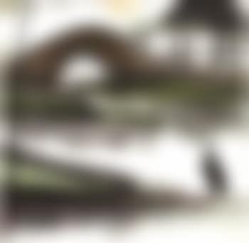 Scenery. Still life (preview)