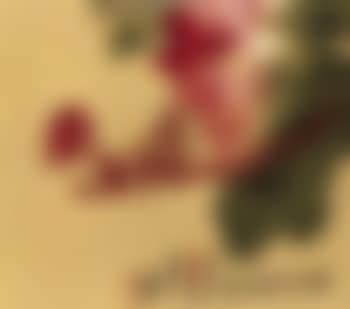 Flowers. Fruit (preview)
