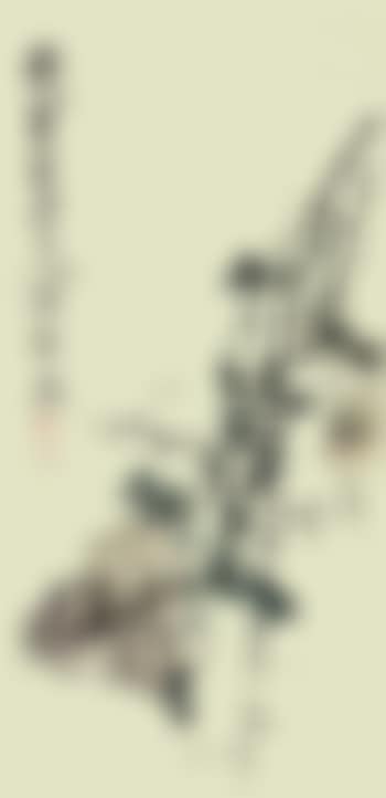 Chrysanthemum. Narcissus (preview)