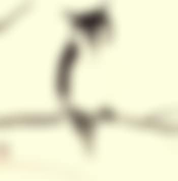 Owl. Flying goose (preview)