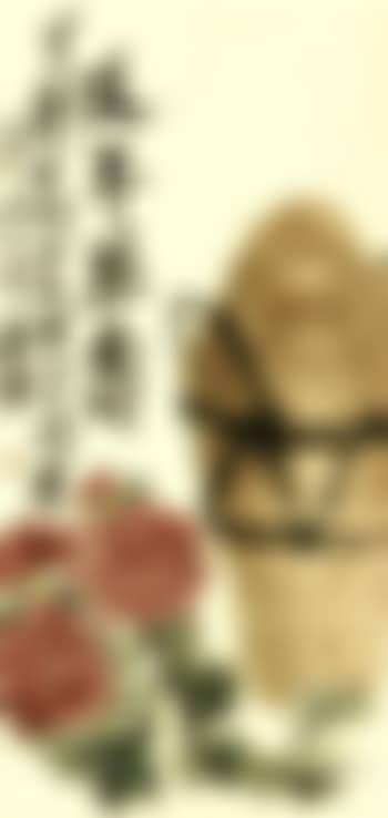 Chrysanthemums and wine vessel (preview)