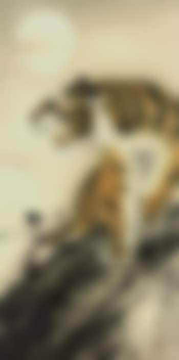 Tiger (preview)
