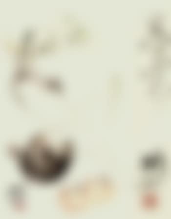 The scent of vegetables (preview)