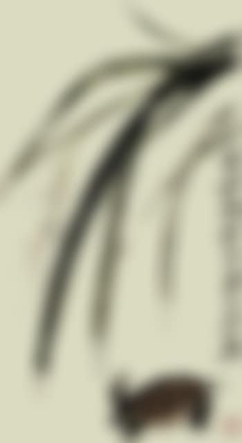 Tortoise and reeds (preview)