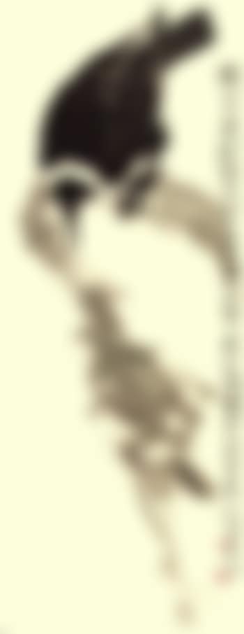 Magpie (preview)