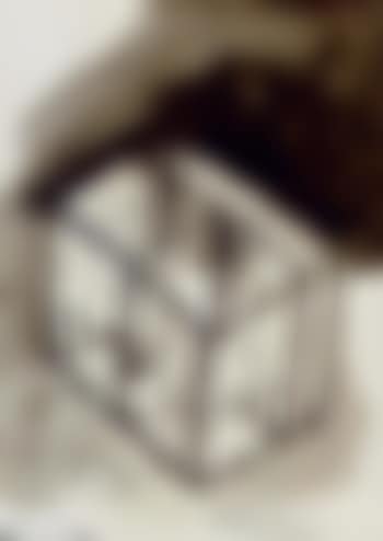 He tried to internalise everything (preview)