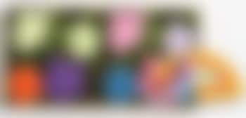 Andy Warhol and Frank Stella - Flowers and protractor variation IV (preview)