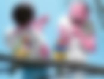 Big parrots (preview)
