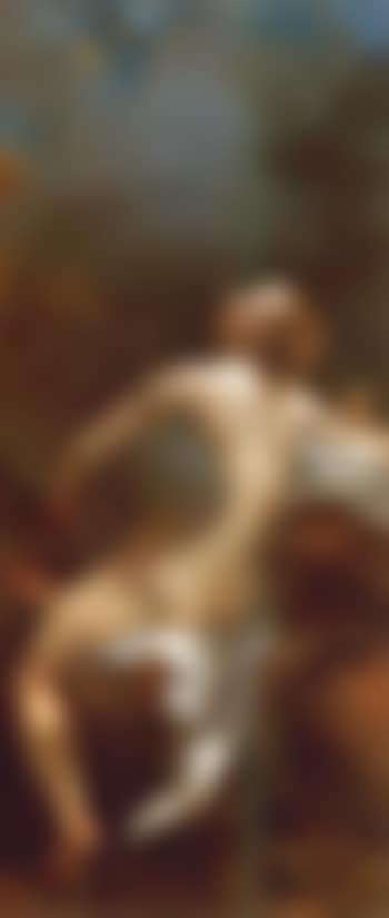 Die Braut des Pierrot (preview)