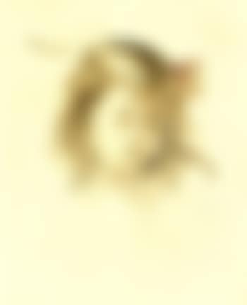 Portrait of a child (preview)