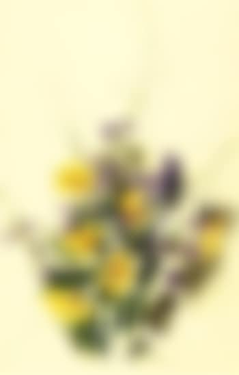 Nosegay (preview)