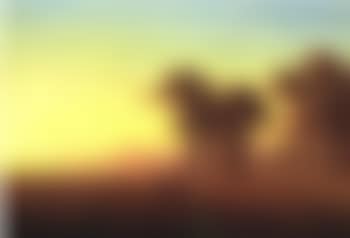 Autumn (preview)