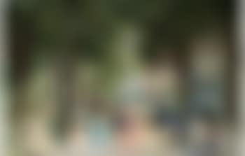 Lawn party, Old Salem (preview)