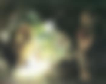 Slave and lion (preview)