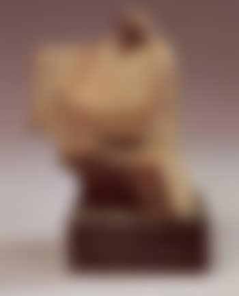 Taiji Series (preview)