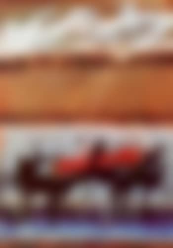 May No.1 (preview)