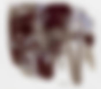 No.17 (preview)