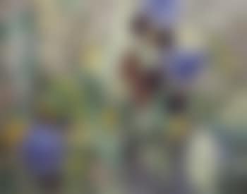 Spring flowers (preview)