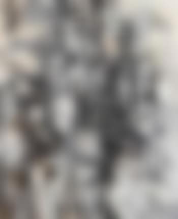 Bird's horizon (preview)
