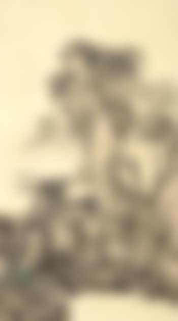 Landscape (preview)