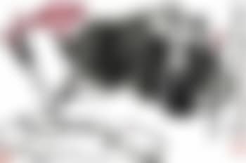 Flowers and insects (preview)