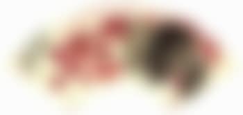Chinese crabapple (preview)
