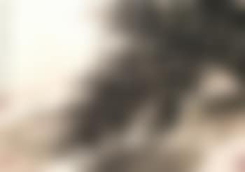 Landscape (preview)