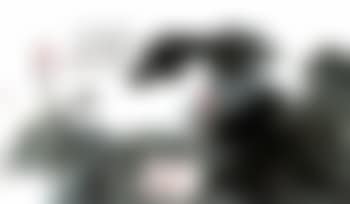Lotus (preview)