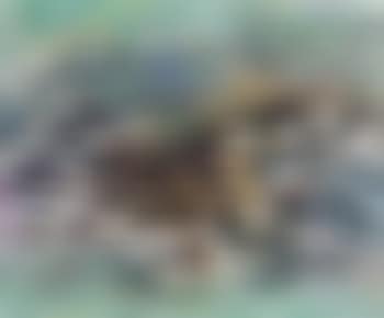 Jiuzhaiquo Series No.5 (preview)