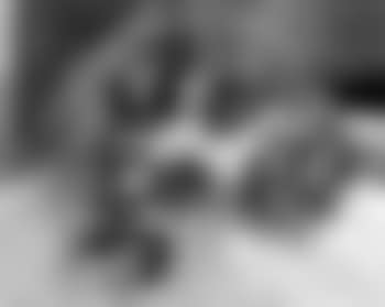 Still life with apples and grapes (preview)