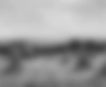 Hay harvest (preview)