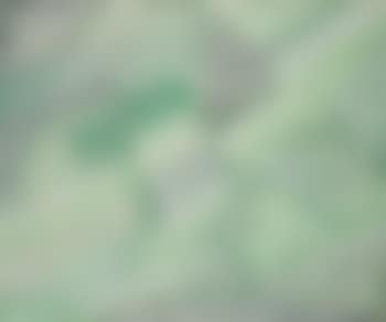Harmonie verte (preview)