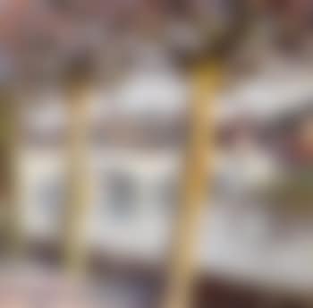 Les arbres devant le port (preview)