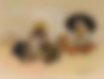 Marchands de pasteques et d'agrumes (preview)