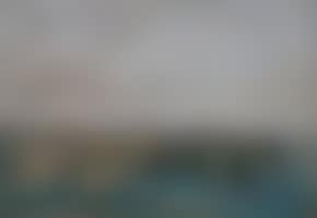 Sheep grazing (preview)