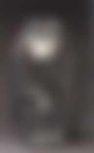 Baboon (preview)