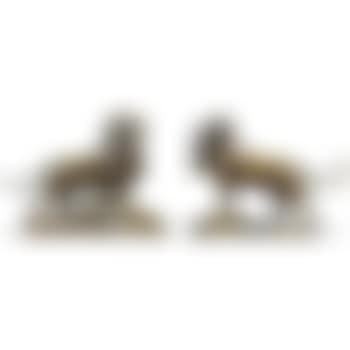 Lion and lionness (preview)