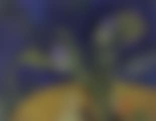 Artichokes (preview)