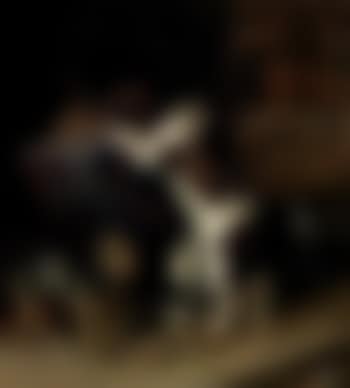 Hidden feast (preview)