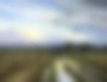 Three mile marsh, West Caister (preview)