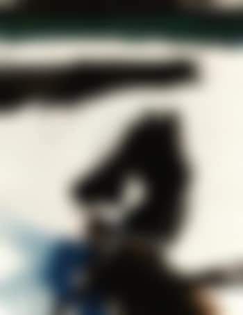 Seahorse collage (preview)